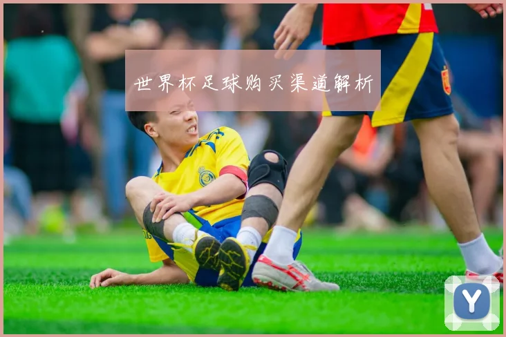 世界杯足球购买渠道解析