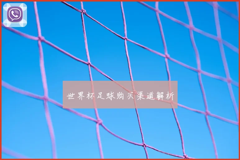 世界杯足球购买渠道解析