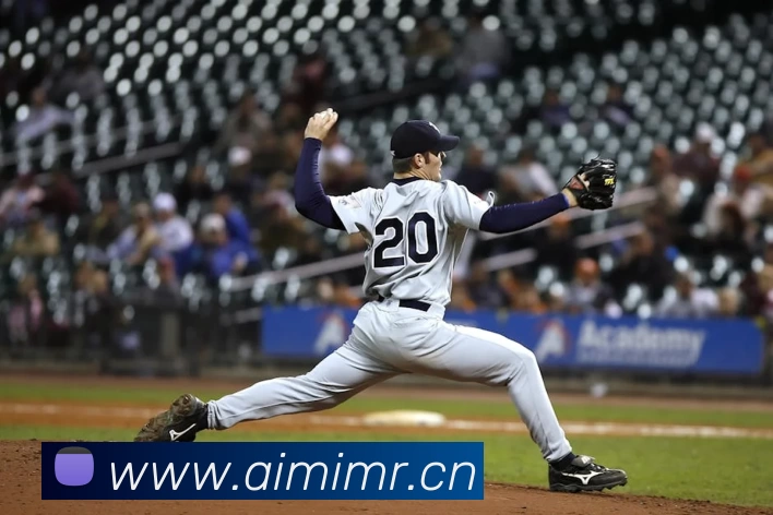 压球首页平台生态图